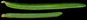 picea_glauca_nadeln_o_150